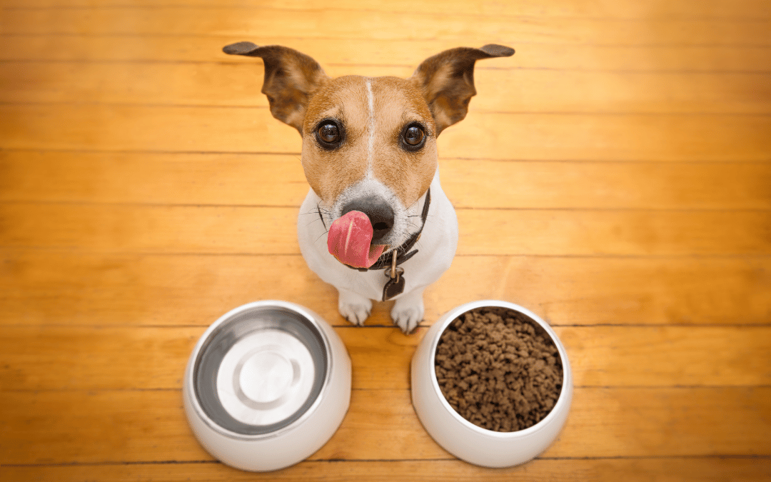 Thinking about selling your pet food business