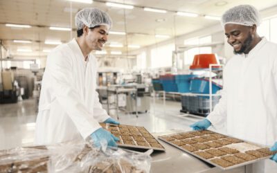 Bakery and Confectionary Newsletter – 2024 Year End in Review 