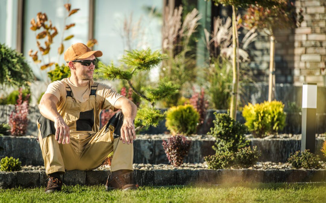 The Commercial Landscaping Opportunity: Why Smart Money is Digging In 